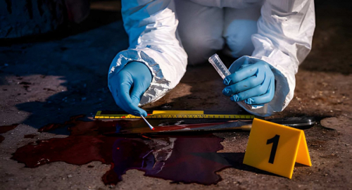 Triplice omicidio a Roma, famiglia uccisa a Casalotti